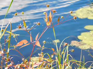 DSCN1211.JPG
