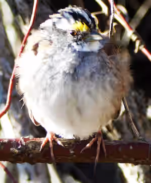 DSCN8876.JPG